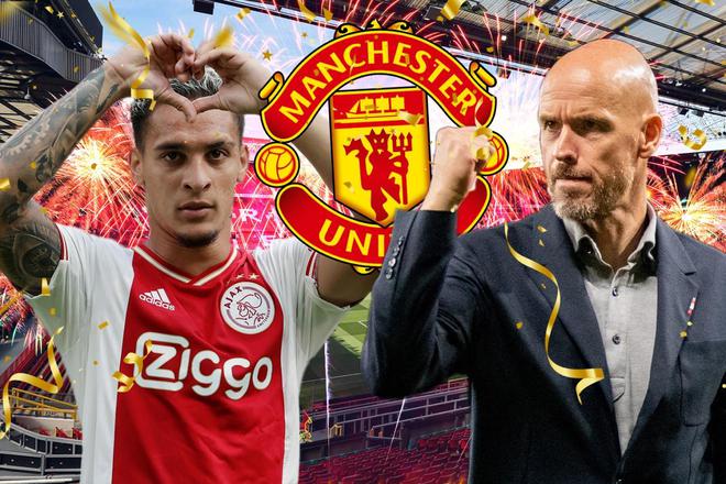 阿拉维斯主 阿拉维斯主